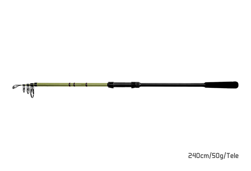 Delphin PARTISAN 270cm/80g/Tele