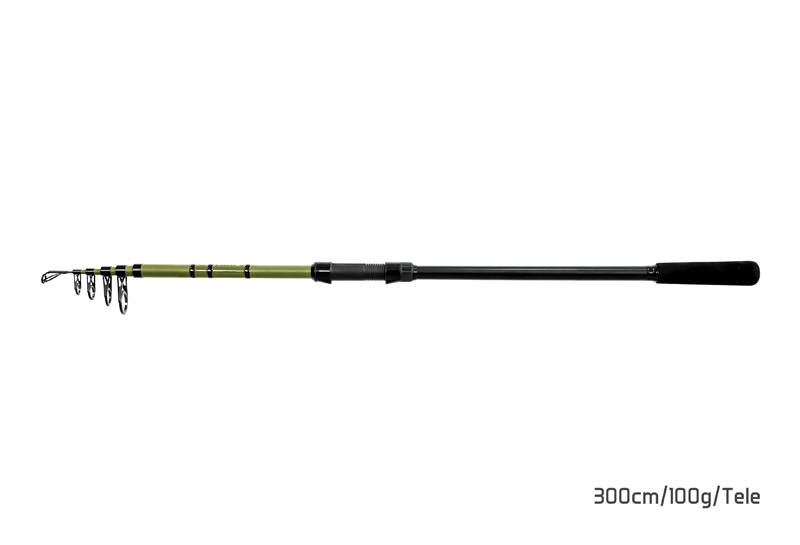 Delphin PARTISAN 270cm/80g/Tele