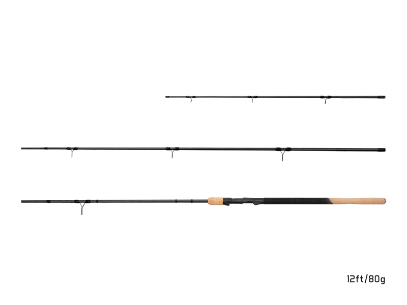 Delphin NIRVANA FDR + 3 špičky 13ft/80g