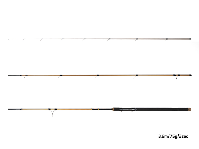 Delphin LEGIA CarpMATCH 390cm/75g/3 díly