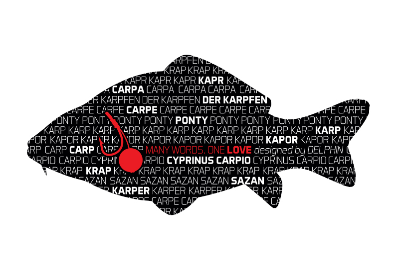 Nálepka KAPR série Words